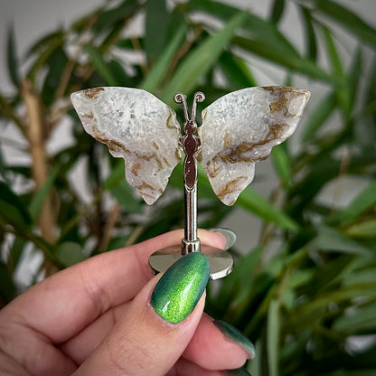 Kleine vlinder op standaard