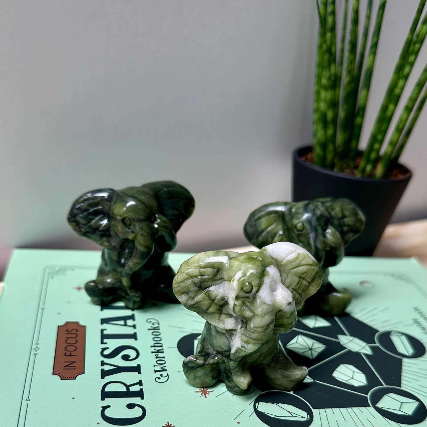 Schattigste olifant