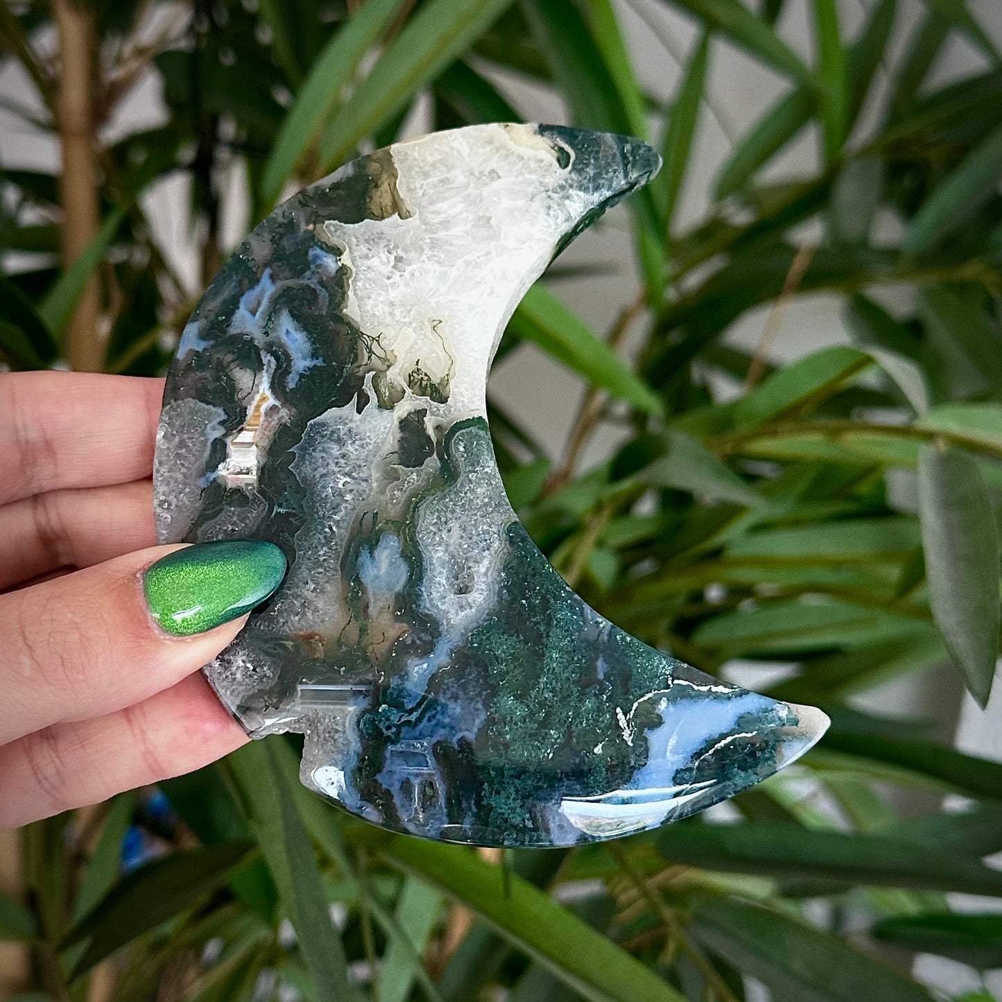 Mosagaat manen op standaard