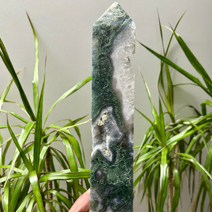 Mosagaat toren XL #96