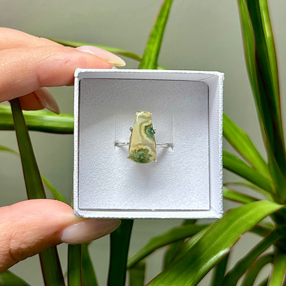 Oceaan jaspis ring 925 zilver