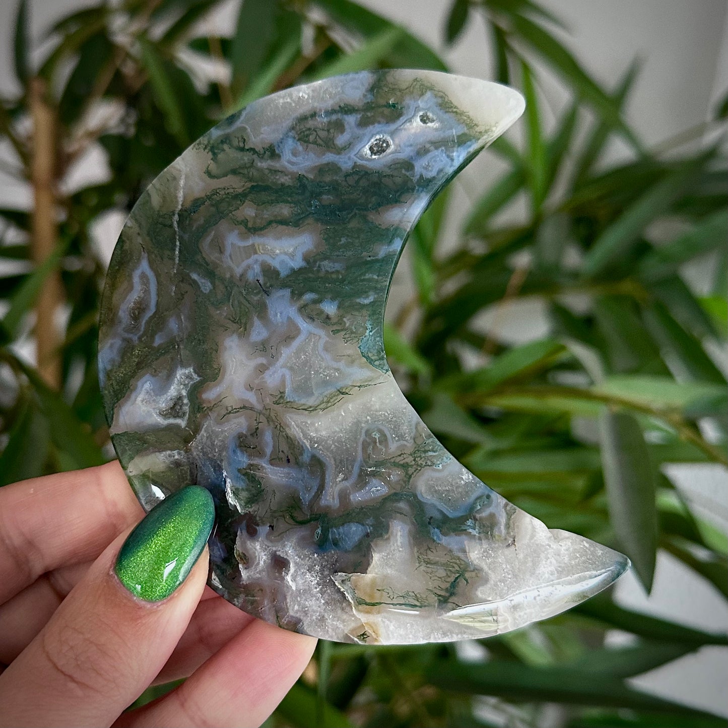 Mosagaat manen op standaard