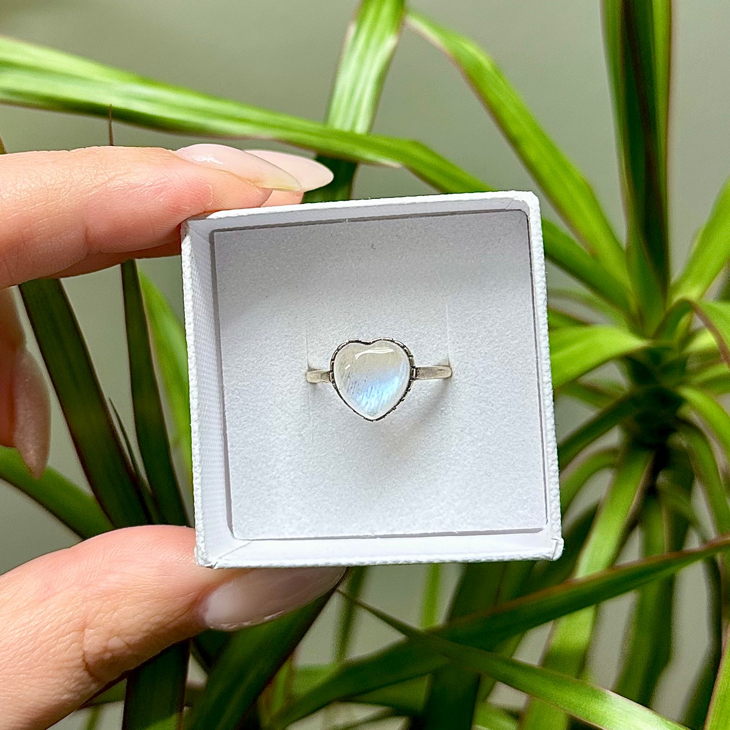 Maansteen ring 925 zilver