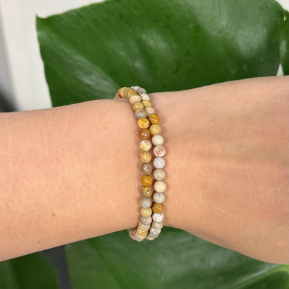 Fossiel koraal armband