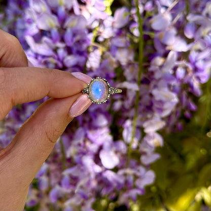 Labradoriet ringen 925 zilver