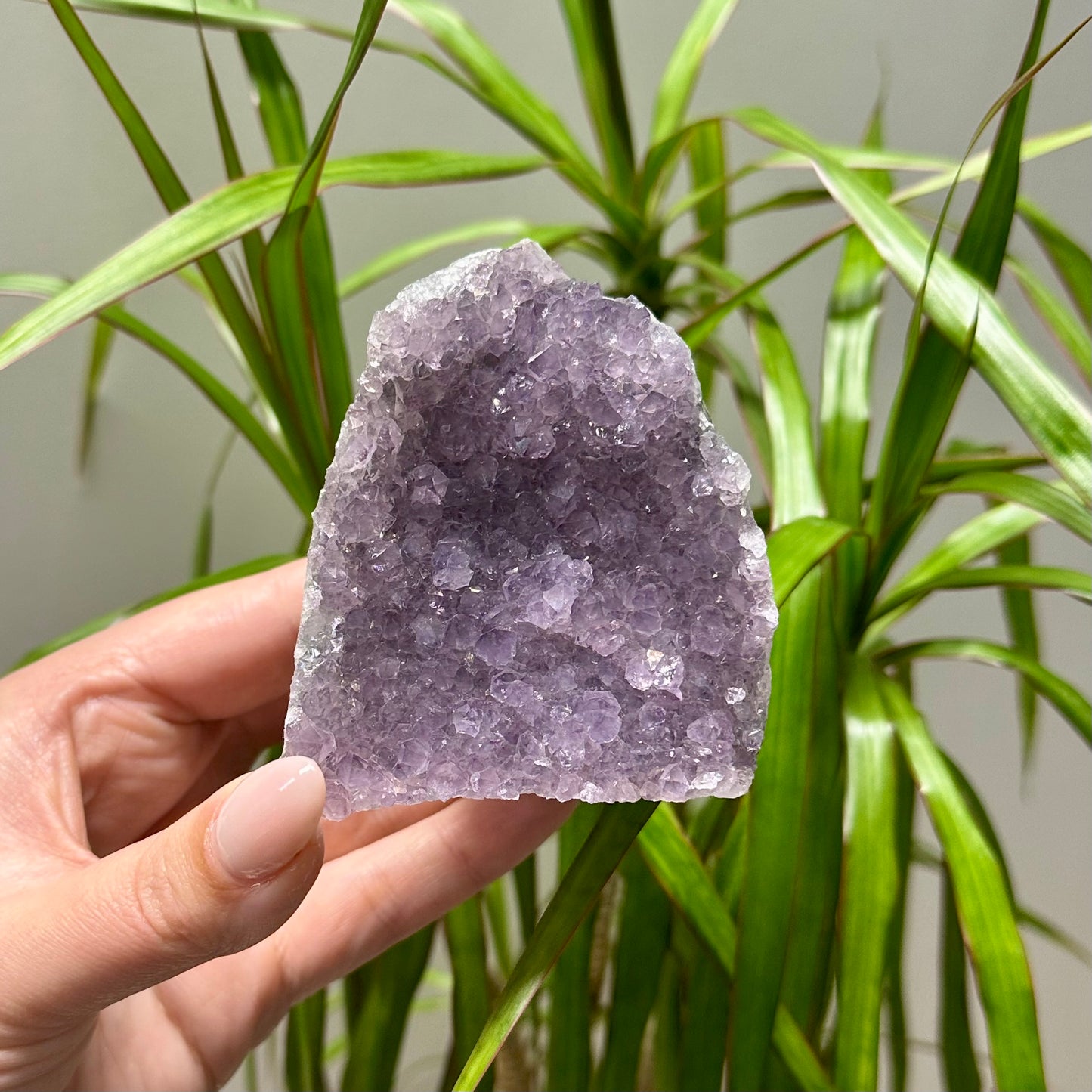 Diverse amethist clusters