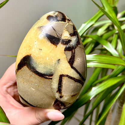 Septarie sculptuur #30