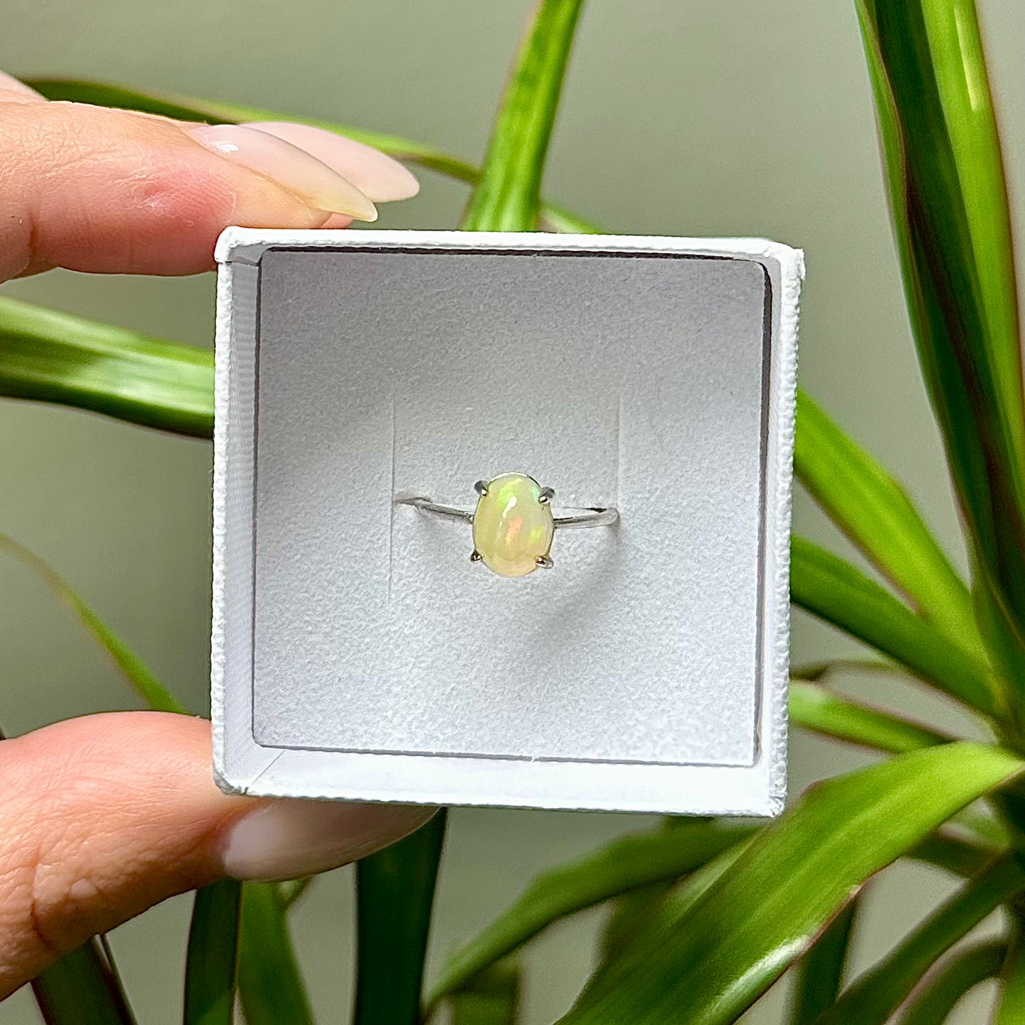 Opaal ring 925 zilver
