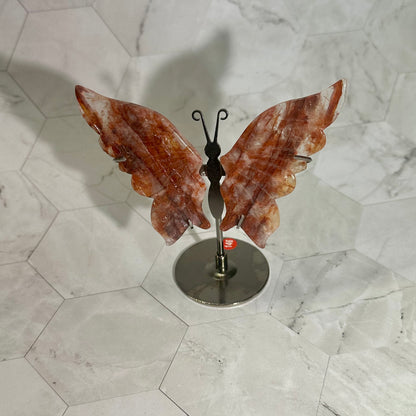 Red healer vlinders op standaard