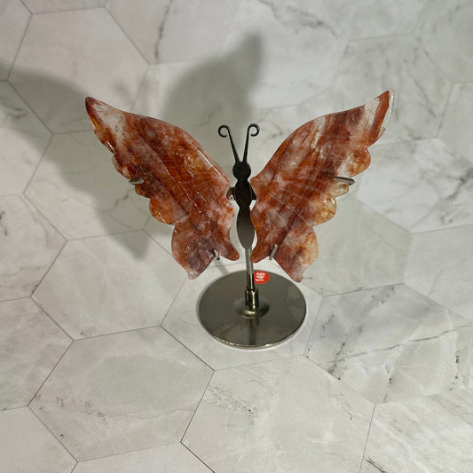 Red healer vlinders op standaard