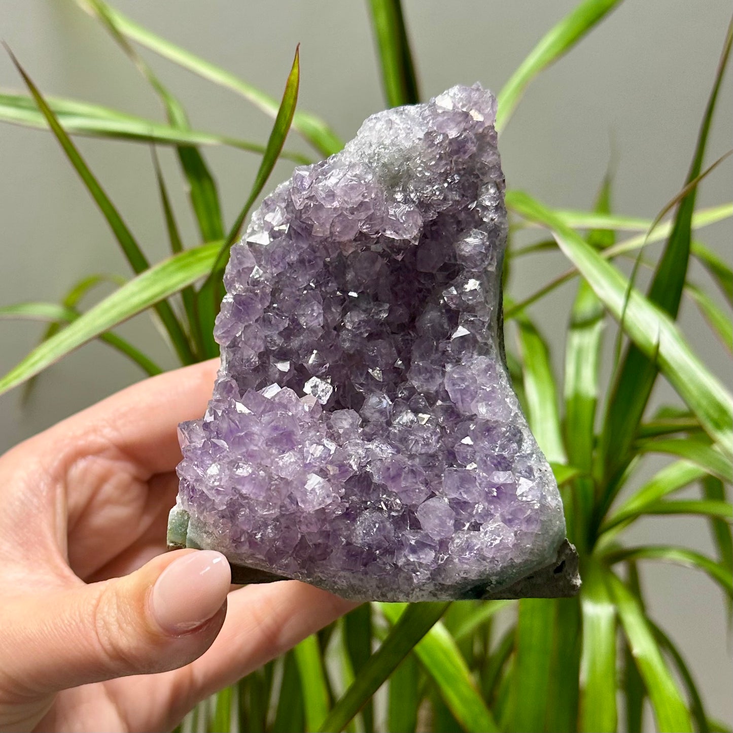 Diverse amethist clusters