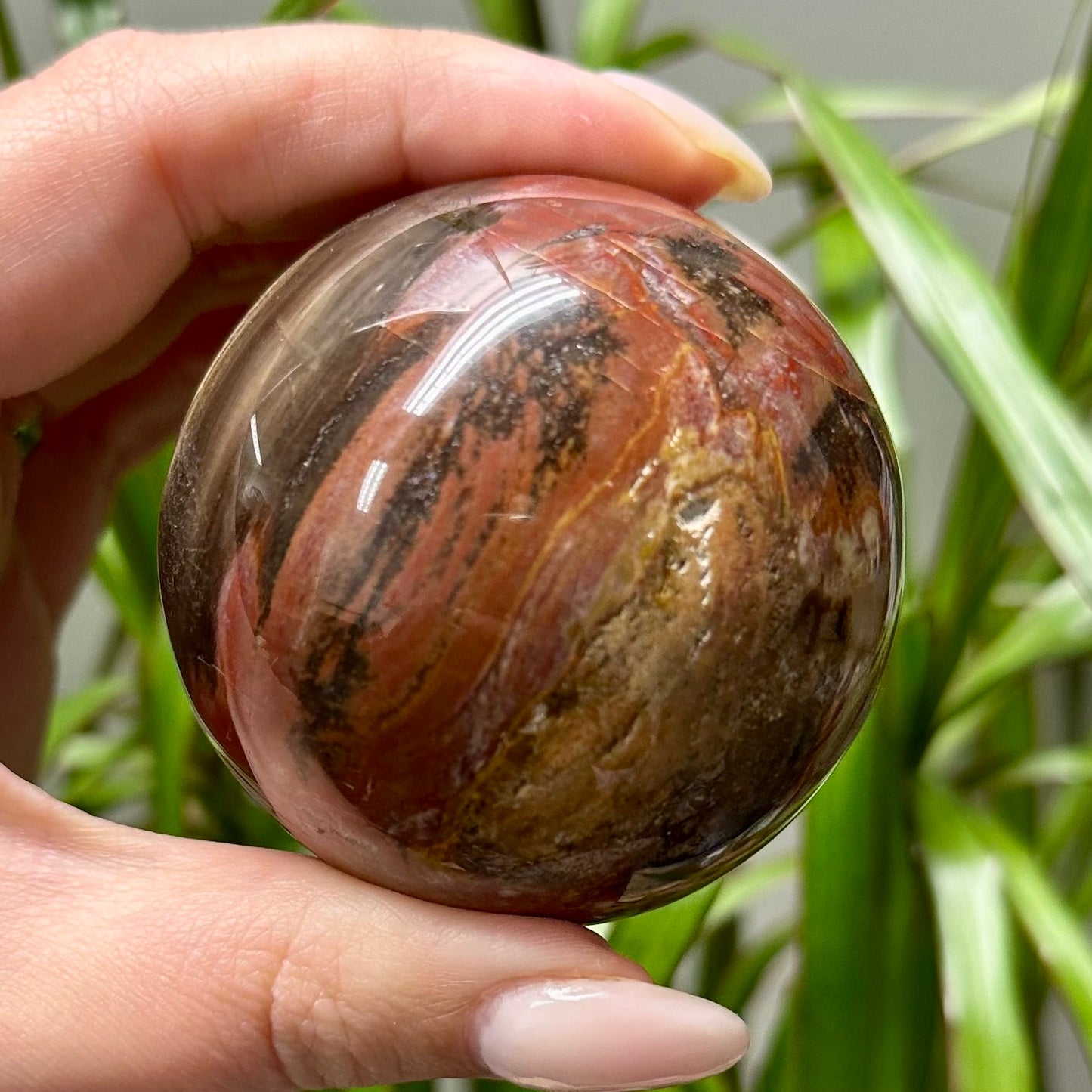 Versteend hout bol #4