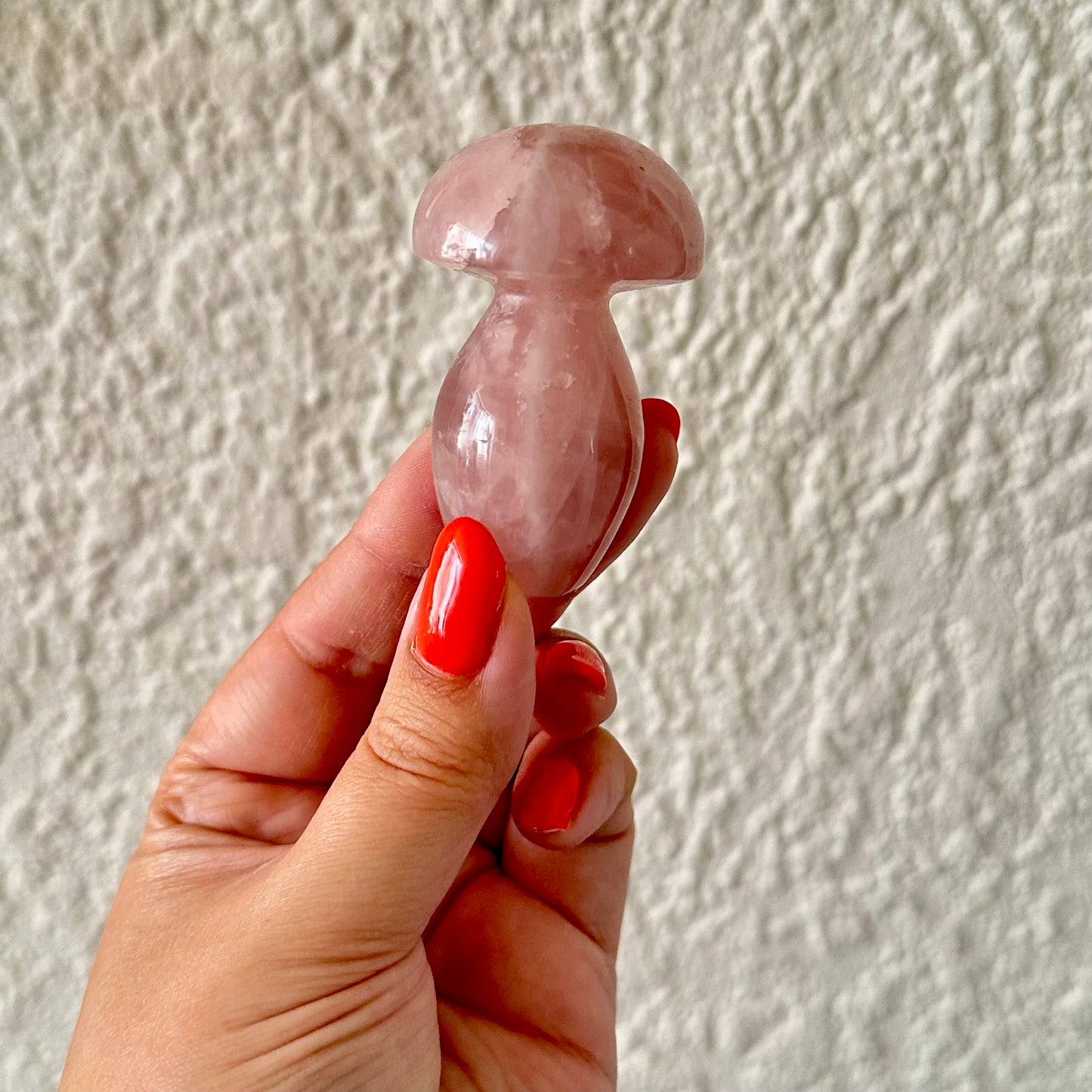 Rozenkwarts paddestoel 1348