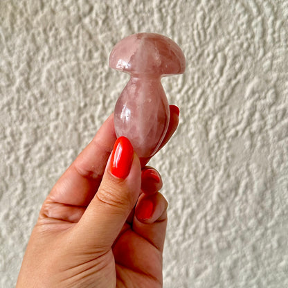 Rozenkwarts paddestoel 1348