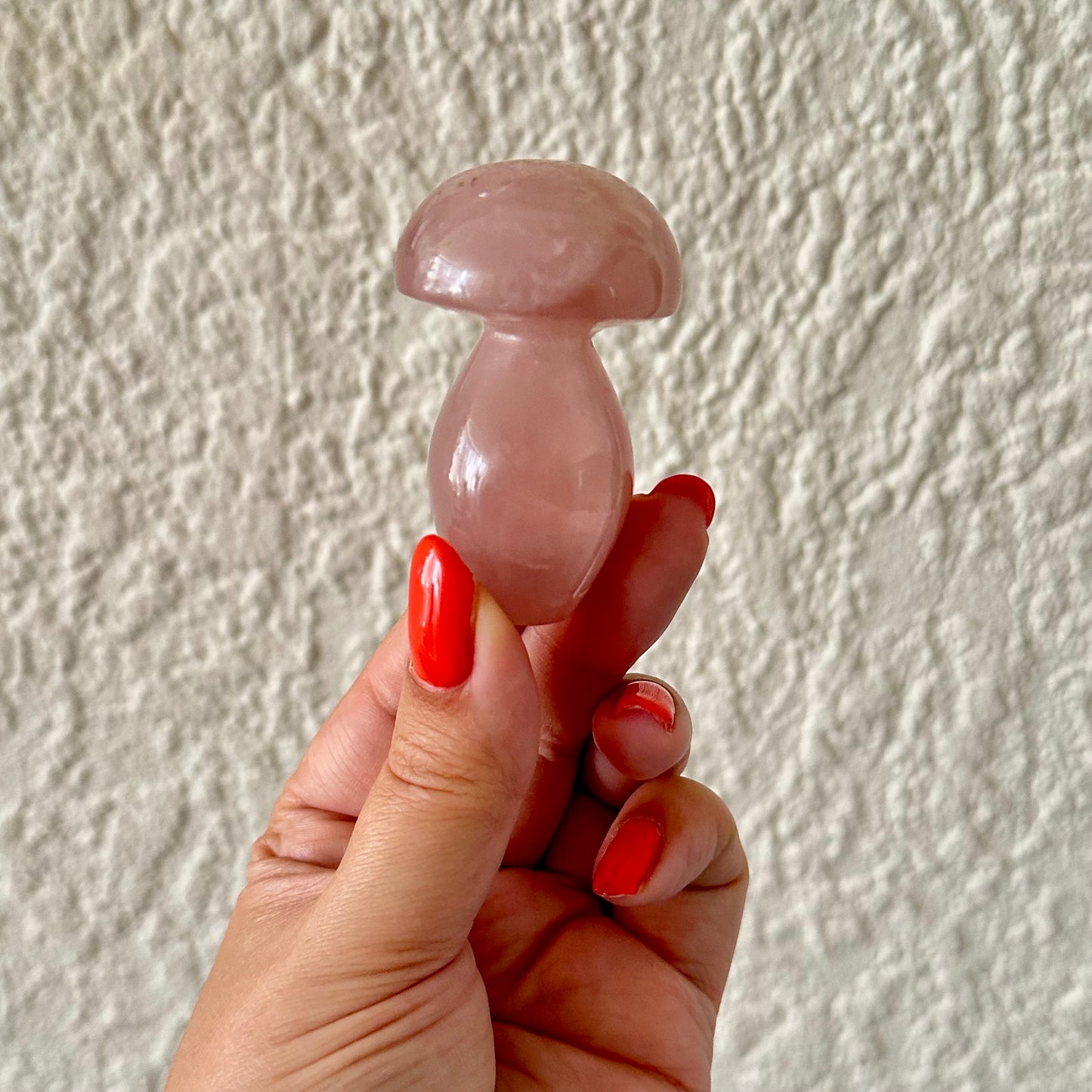 Rozenkwarts paddestoel 1348