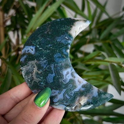 Mosagaat manen op standaard