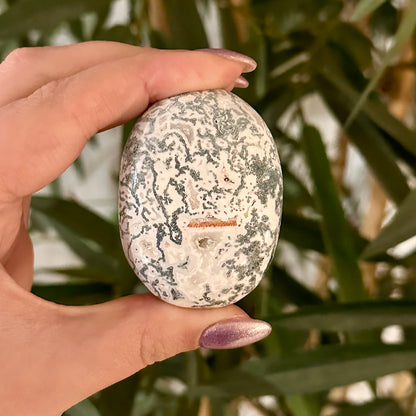 Boomagaat handsteen #322