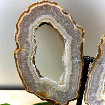 Agaat vlinder op standaard