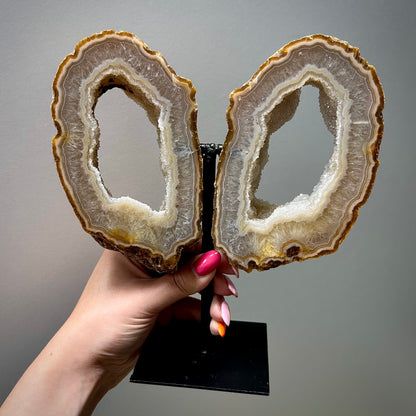 Agaat vlinder op standaard