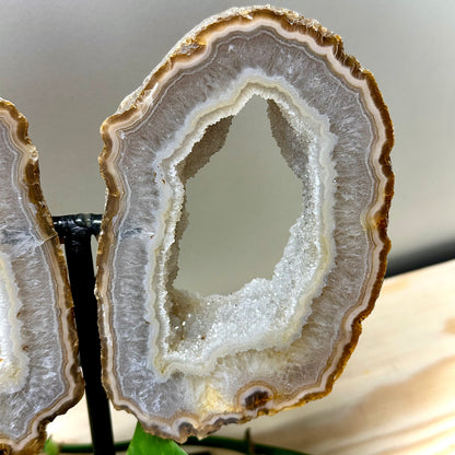 Agaat vlinder op standaard