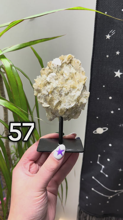 Gouden mica op standaard