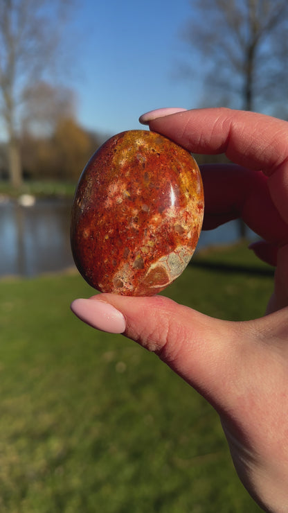 Oceaan jaspis handsteen #74