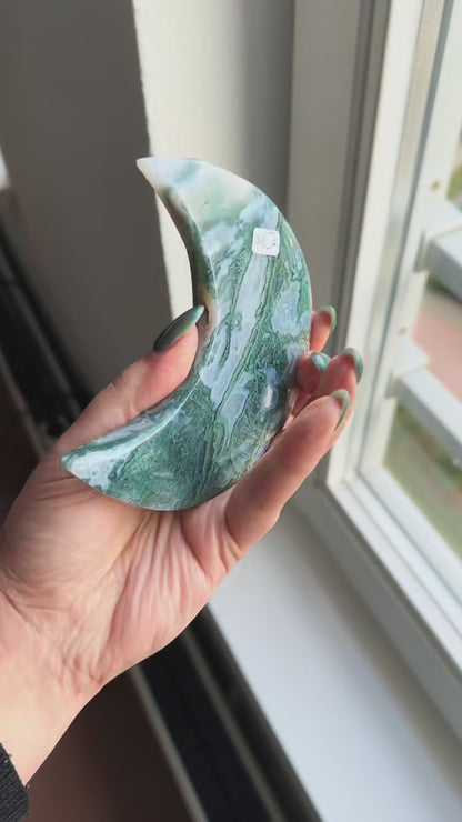 Mosagaat manen op standaard