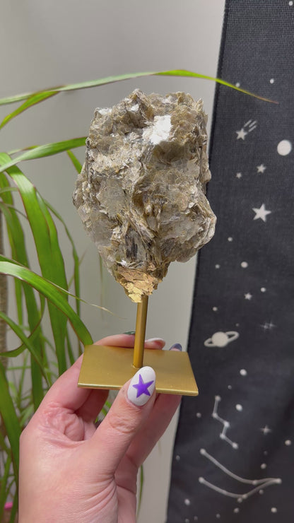 Gouden mica op standaard #56